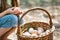 Family of Farmers putting organic eggs in a brown basket on their farm with chickens in the background