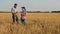 A family of farmers works in a chickpea field