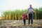 Family farming. Farmers grandfather with little grandson in a corn field. experienced grandfather explains grandson the nature of