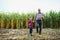 Family farming. Farmers grandfather with little grandson in a corn field. experienced grandfather explains grandson the nature of