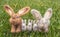 Family of felted rabbits or bunnies on grass