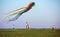 Family flying kite together on green field