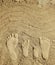 Family footprints in the sand on the beach