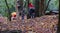 Family foraging in a forest for edible sweet chestnuts. Photographed near Arne, Dorset, UK