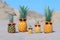 Family of funny attractive pineapples in stylish sunglasses on the sand against turquoise sea. Tropical summer vacation