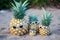 Family of funny attractive pineapples in stylish sunglasses on the sand against turquoise sea. Tropical summer vacation