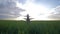 Family game, happy father wears his son on his shoulders during walk on rapeseed field on background sky and sunset