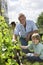 Family Gardening In Allotment