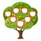 Family genealogical tree with portraits of relatives. Child, parents and grandparents