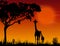 Family of Giraffes on the background of the Sunset. Mom and baby Giraffes.Vector.