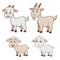 Family goat and kid, vector illustration on white background