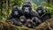 family of gorillas in the jungle