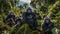 family of gorillas in the jungle