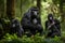 a family of gorillas in the rainforest, with mother and father protecting their young