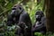 a family of gorillas in the rainforest, with mother and father protecting their young