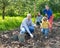 Family harvesting potatoes in field