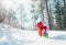 Family have active walk in winter forest. Mother and father pull