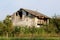 Family house abandoned after war left with damaged exterior surrounded with trees and high uncut grass