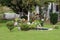 Family house front yard filled with flowers and decorative plants surrounding water fountain and small pond