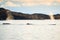 Family of humpback whales in Atlantic ocean, Greenland