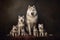 A family of husky dogs. Husky generation