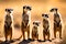 A family of inquisitive meerkats standing upright in the golden light of an African savannah, diligently scanning their