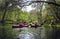 Family Kayaking - Ichetucknee River