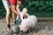 Family with kids in the petting zoo.