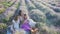 Family in lavender flowers field at sunset in white dress and hat