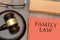 Family Law wooden gavel and red book