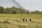 Family leisure at Cable-stayed Martinus Nijhoffbridge over river Waal