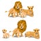 Family of lions, mother, father and baby. Vector
