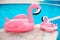 Family look. Two Pink pool floats flamingo by blue water, pool party toy. Giant Inflatable Swimming Ring. Summer vacation holiday