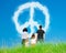 Family Looking At Clouds Forming A Peace Symbol