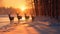 a family of majestic red deer gracefully moving through a snow-covered forest at the magical moment of sunset. The scene