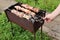 Family making barbecue in dinner party camping.