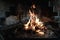 Family making barbecue in dinner party camping at night