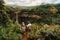 A family, a man, a woman and a daughter, stand on the edge of a cliff near a waterfall in Chamarel Park on the island of Mauritius