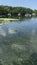 Family of manatees swim away in Florida Crystal River