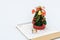 Family Miniature 3 people standing on Christmas tree Celebrate C