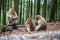 family of monkeys cute bond together hug play fun kid parents shildhood sacred forest germany