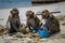 Family Of Monkeys Dressed In Beach Attire, Building Sandcastles And Playing With Toys. Generative AI