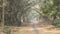 Family morning walk at Howrah, West Bengal, India