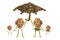 Family nuts under the umbrella