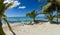 Family of Palm Trees Sit at the Edge of Beach