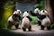 A Family of pandas playing and interacting with each other