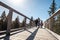 Family people walking wooden treetop bridge canopy walkway in winter