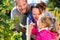 Family picking berries in garden