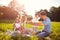 Family on picnic in park