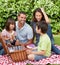 Family picnicking in the garden